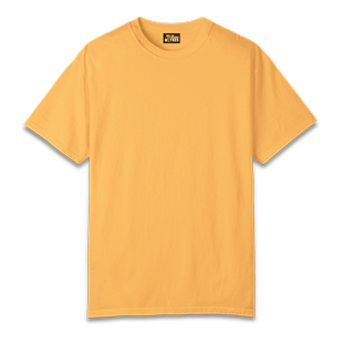 Basic Printed T-Shirt